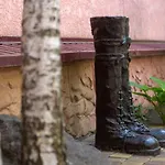 дом павловых