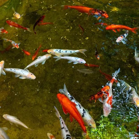 дом павловых * Одеса