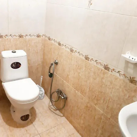 дом павловых *