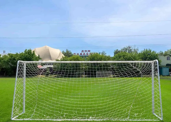 дом павловых Odessza