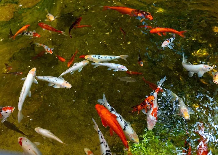 дом павловых * Odessa